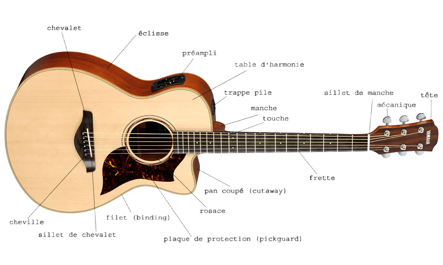 Schéma des différentes parties d’une guitare acoustique avec manche, touche, frettes, table d’harmonie, chevalet et rosace